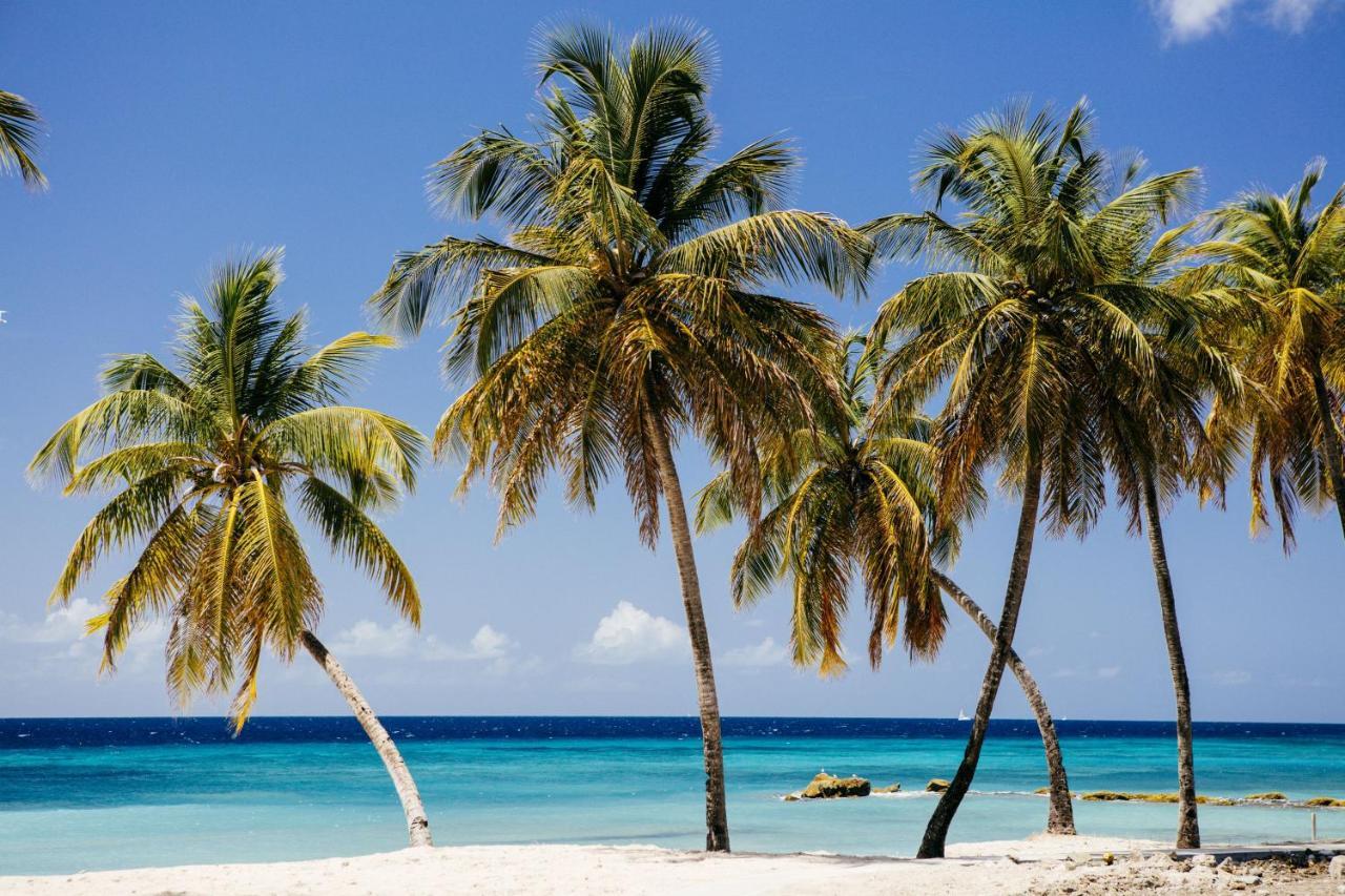 The Liming Bequia Hotell Friendship Eksteriør bilde